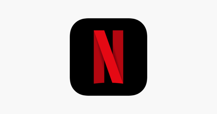 Netflix - Image 1